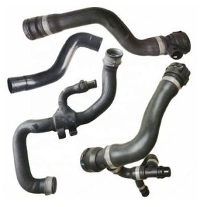 Radiator Coolant Hose