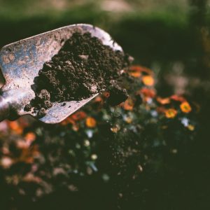 Garden Tool
